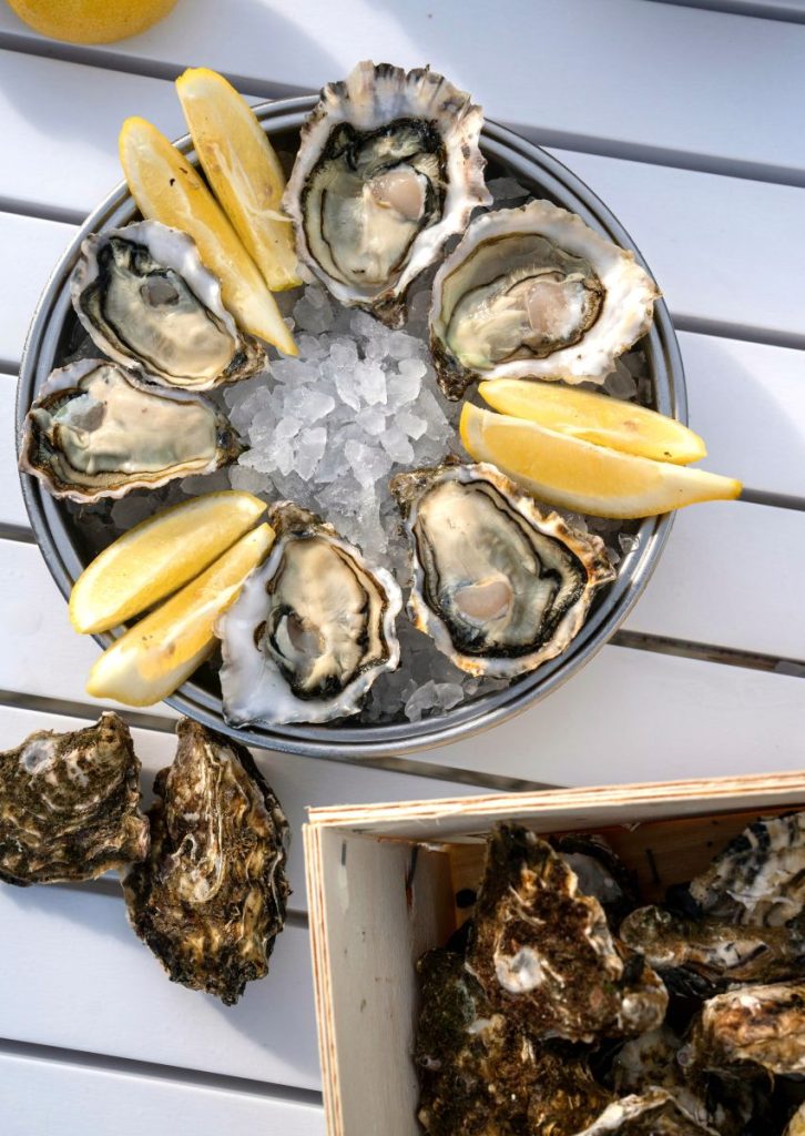 que faire à arcachon things to do - oysters huitres