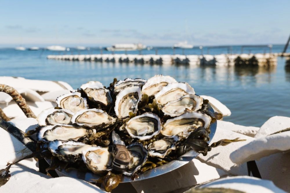 quoi faire à arcachon things to do - oysters huitres