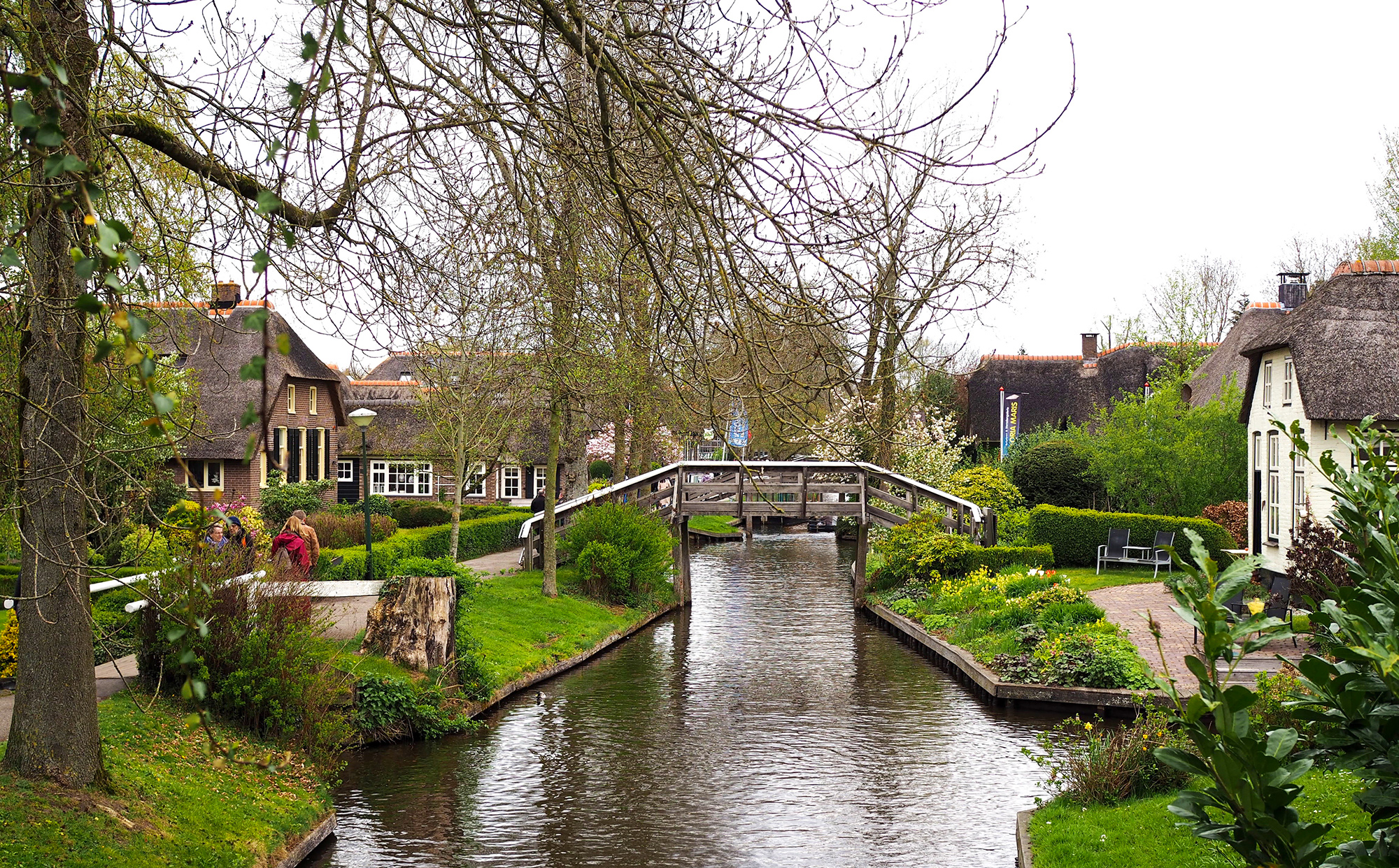 day trips from amsterdam get your guide