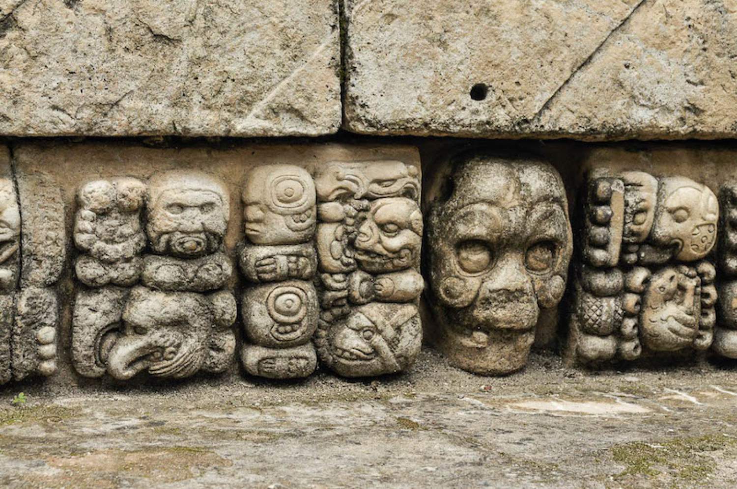 Bas relief gravé dans la pierre, Ruines de Copan, Hondruras