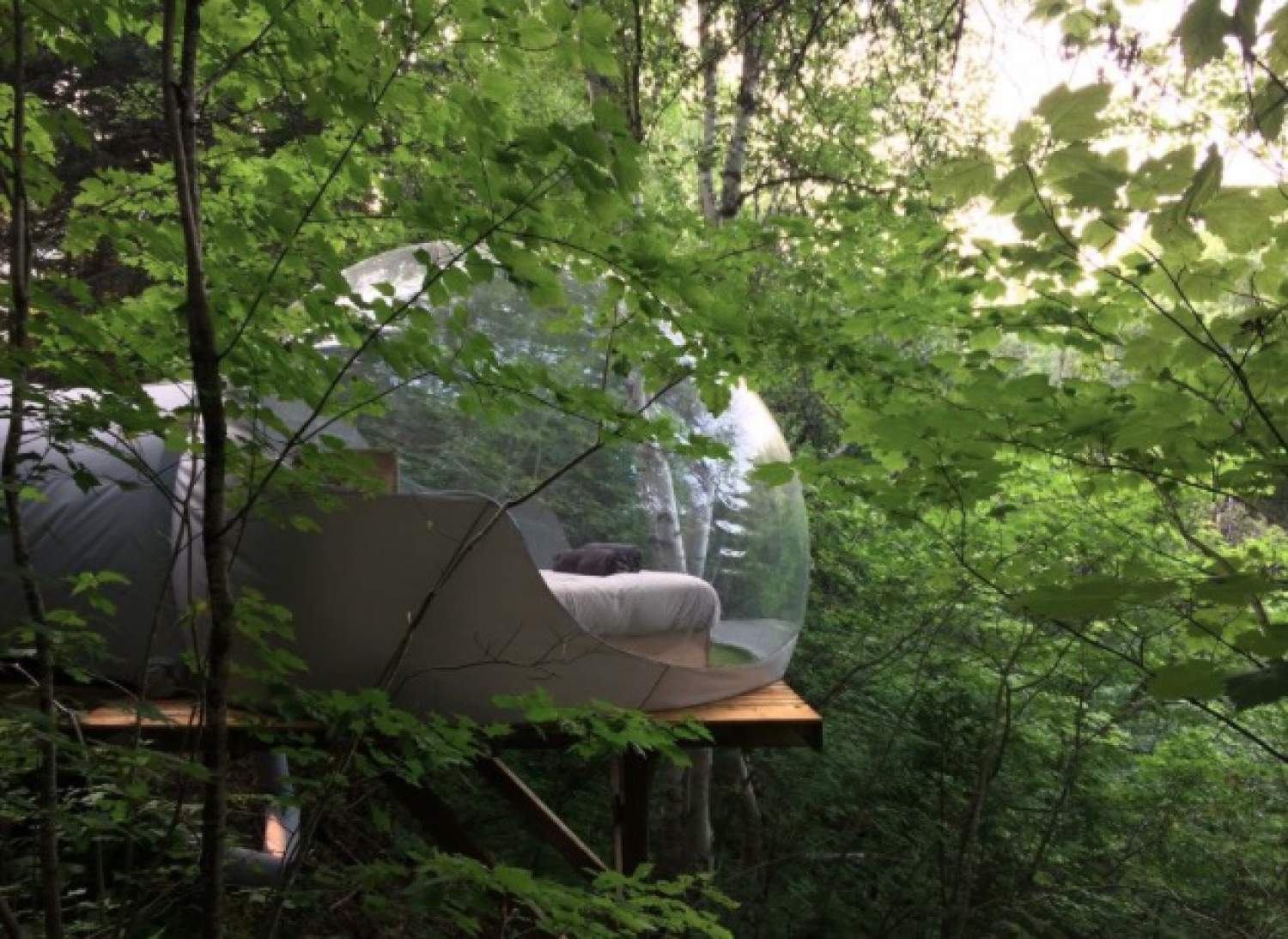 Une bulle transparente chez Canopée-Lit, Côte-Nord