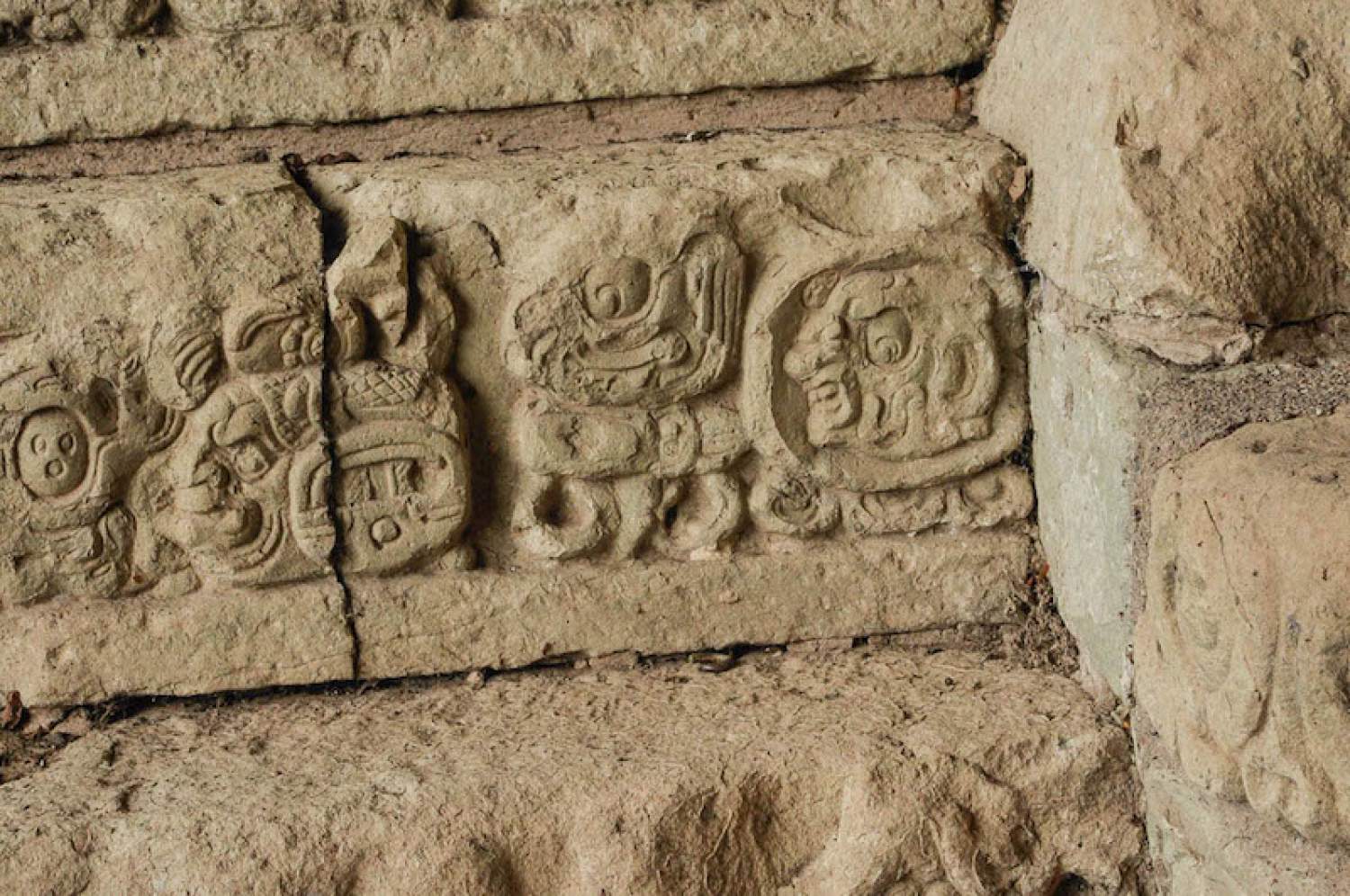 Escalier gravé, Ruines de Copan, Hondruras