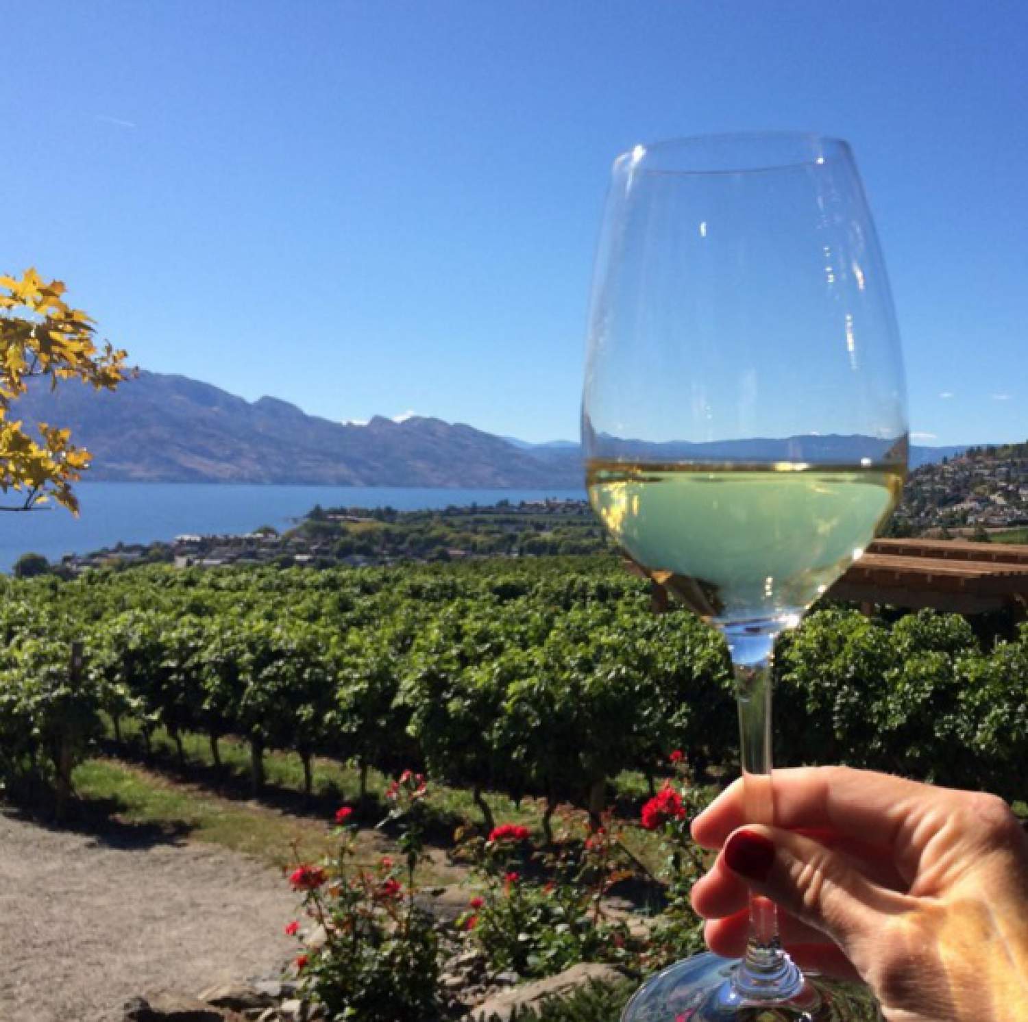 Vignoble Okanagan Quails, Vallée de l'Okanagan