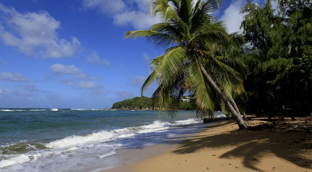 Plage Tartane à la Martinique