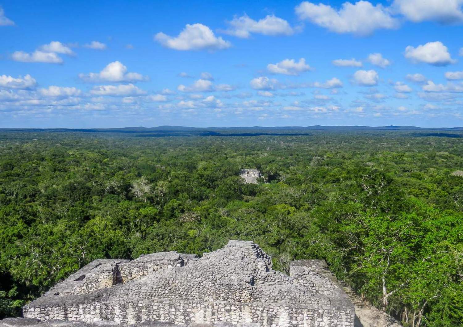View from the top Mayan temple of Calakmul