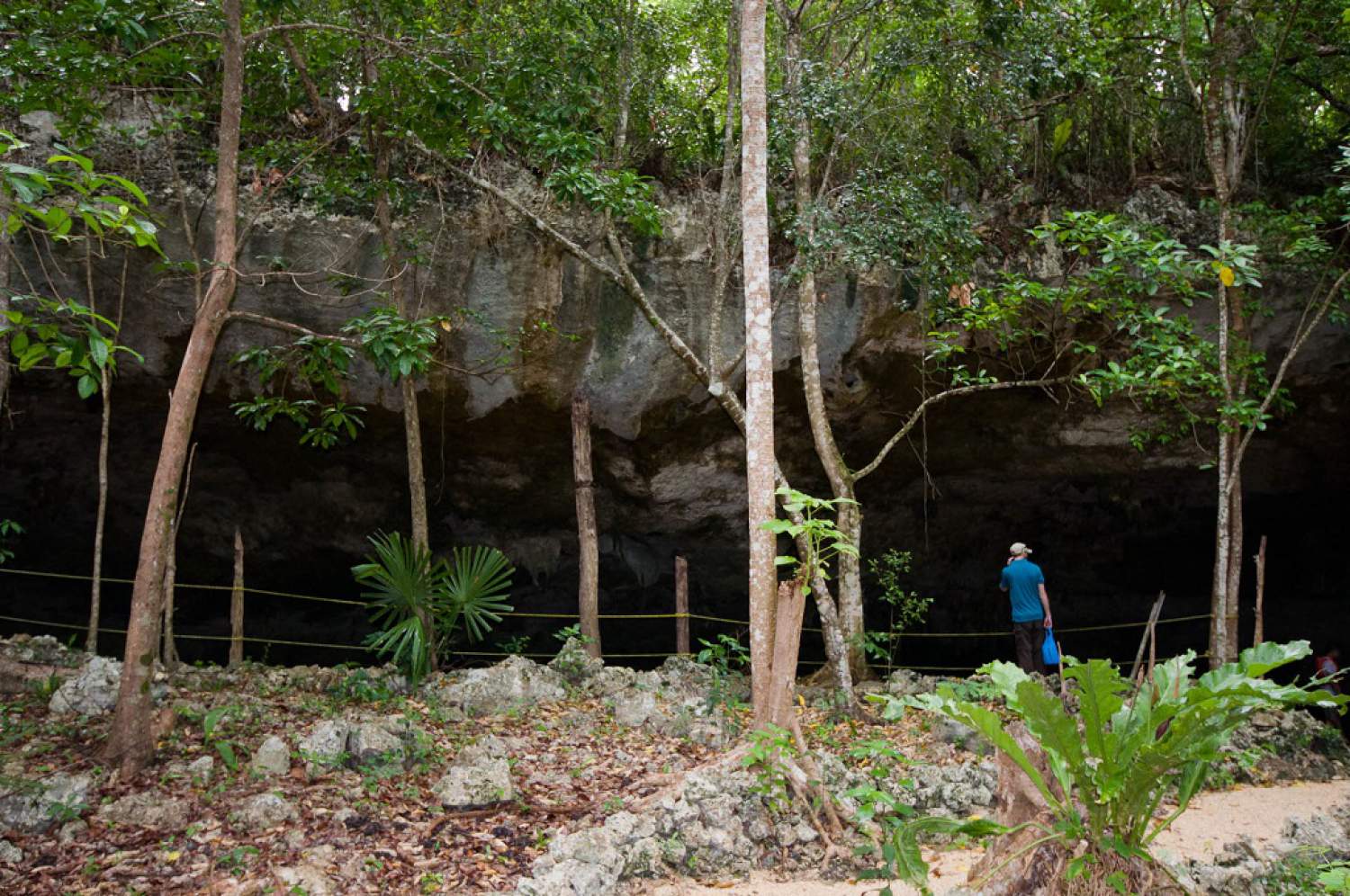 Entrée du cenote dos ojos, Mexique
