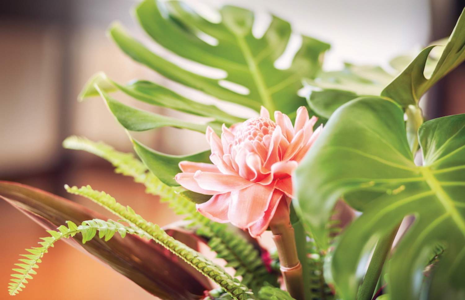 Fleurs tropicales pour un mariage sur la plage