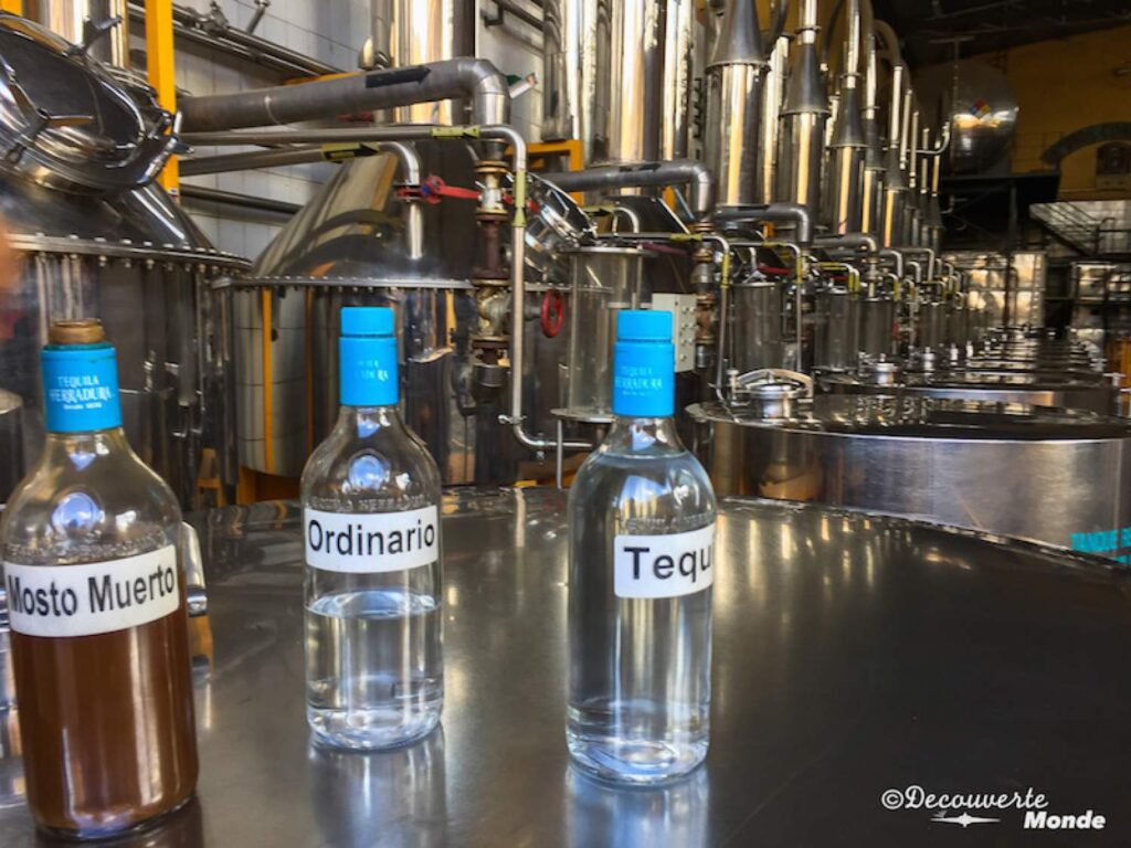 Distillation de la tequila Herradura au Mexique