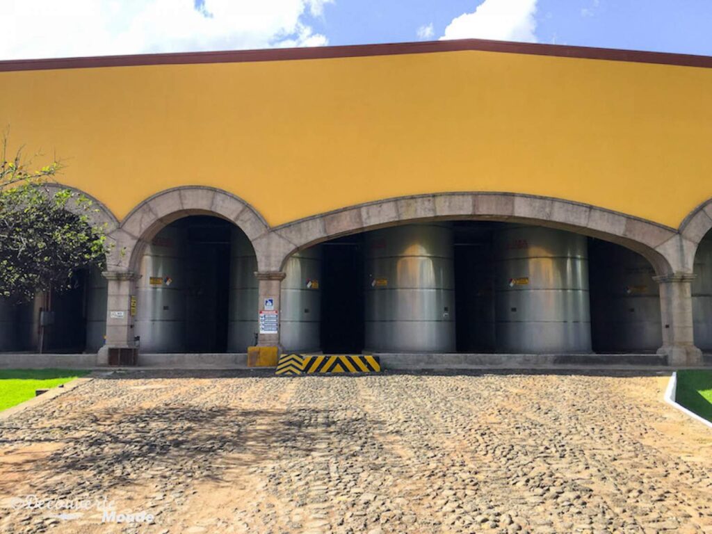 Fermentation de l'agave pour la tequila Herradura au Mexique
