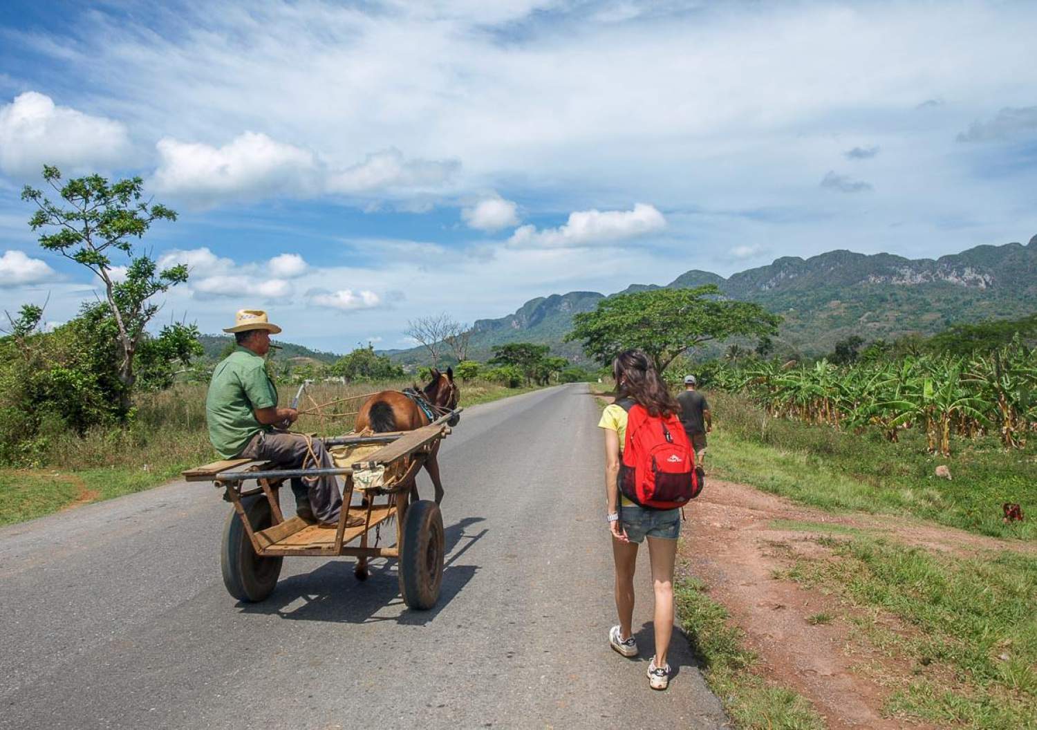 Randonnée à Vinales, Cuba