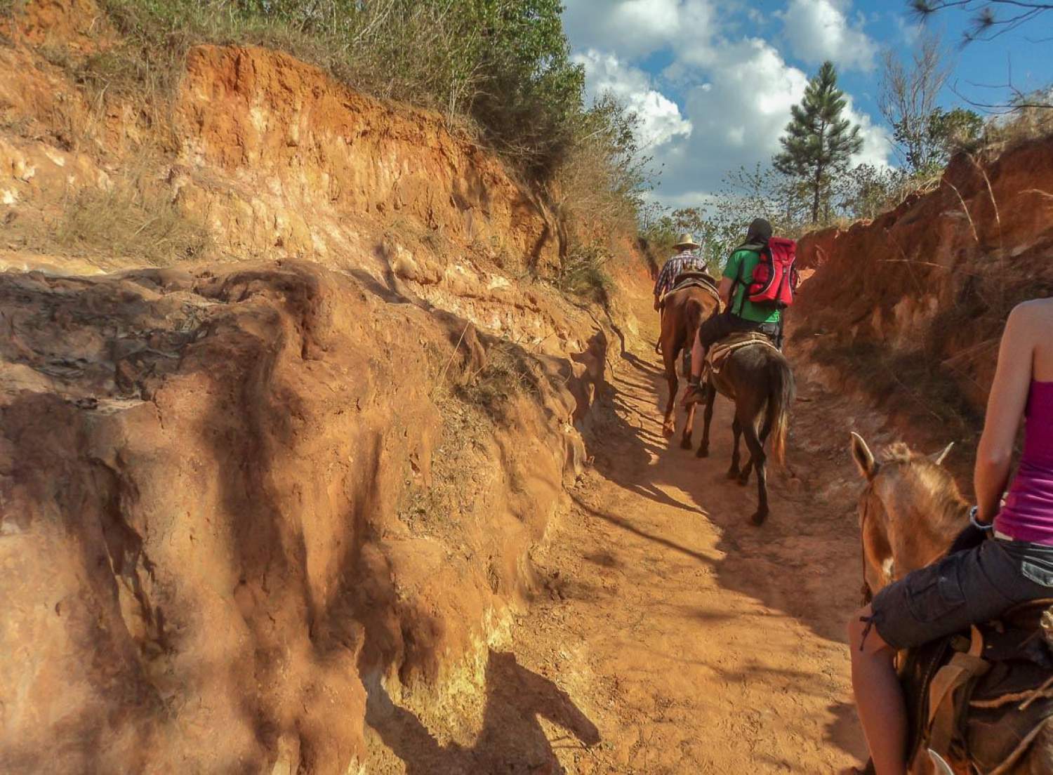 Randonnée à cheval dans les sentiers de Vinales