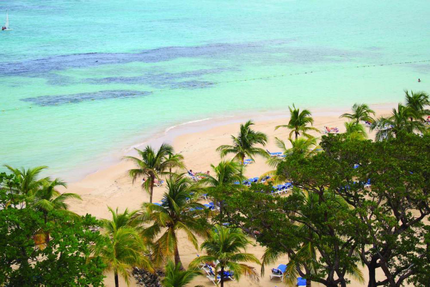 Island Insights: Essential Jamaica Travel Tips for First-Timers