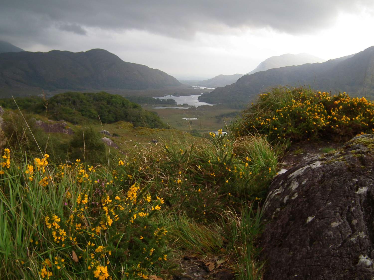 Paysage dans l'anneau de Kerry, Irlande