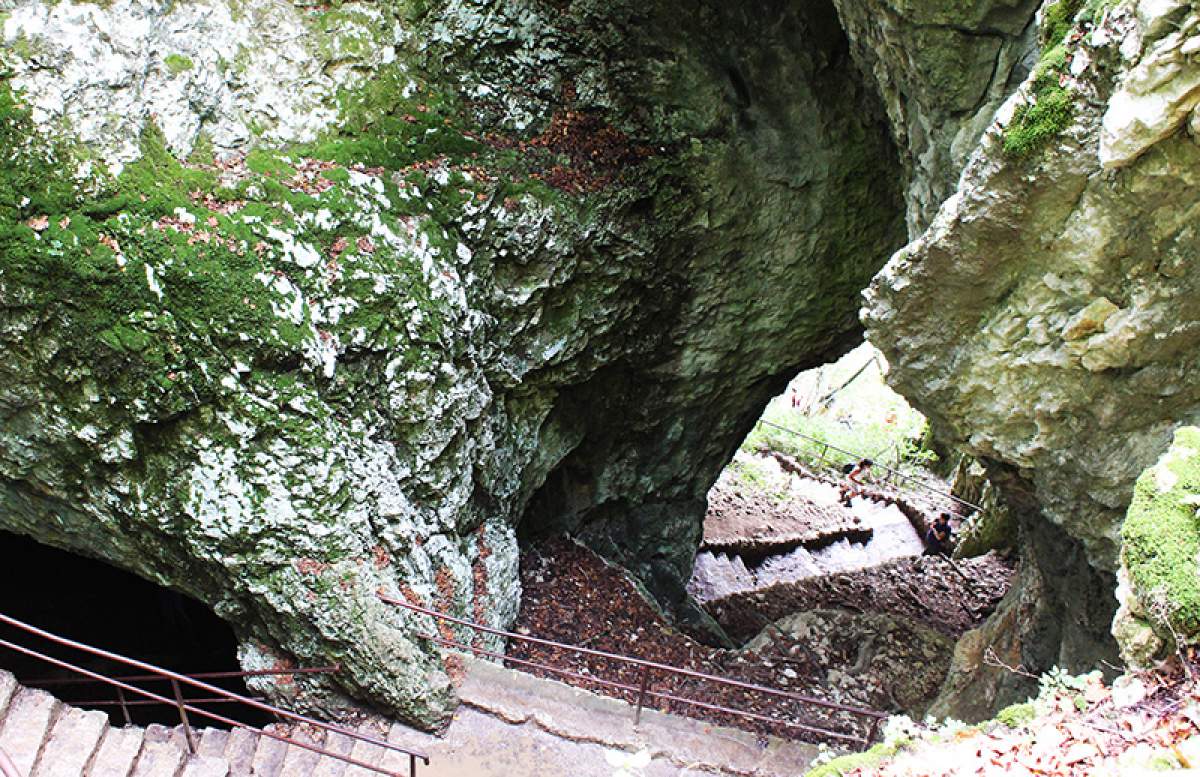 Escaliers dans le roc aux lacs de Plitvice, Croatie