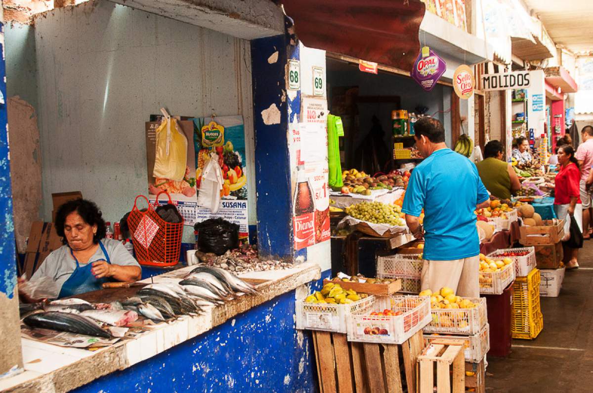 Marché publique, voyage responsable