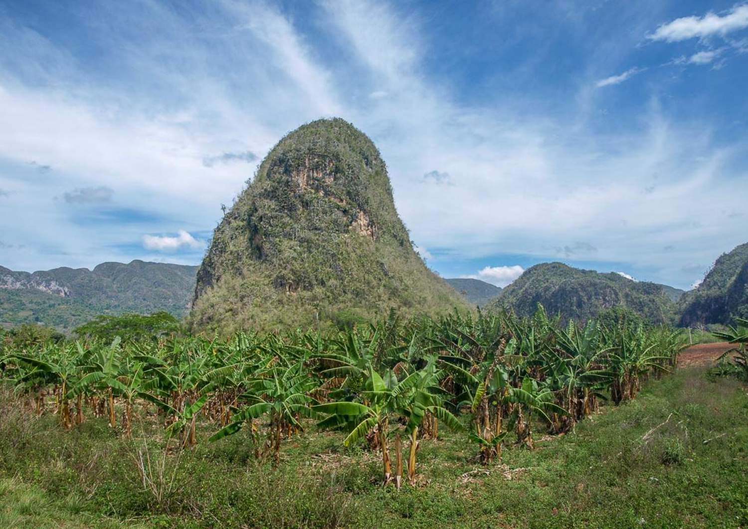 Mogotes dans les vallées de Vinales