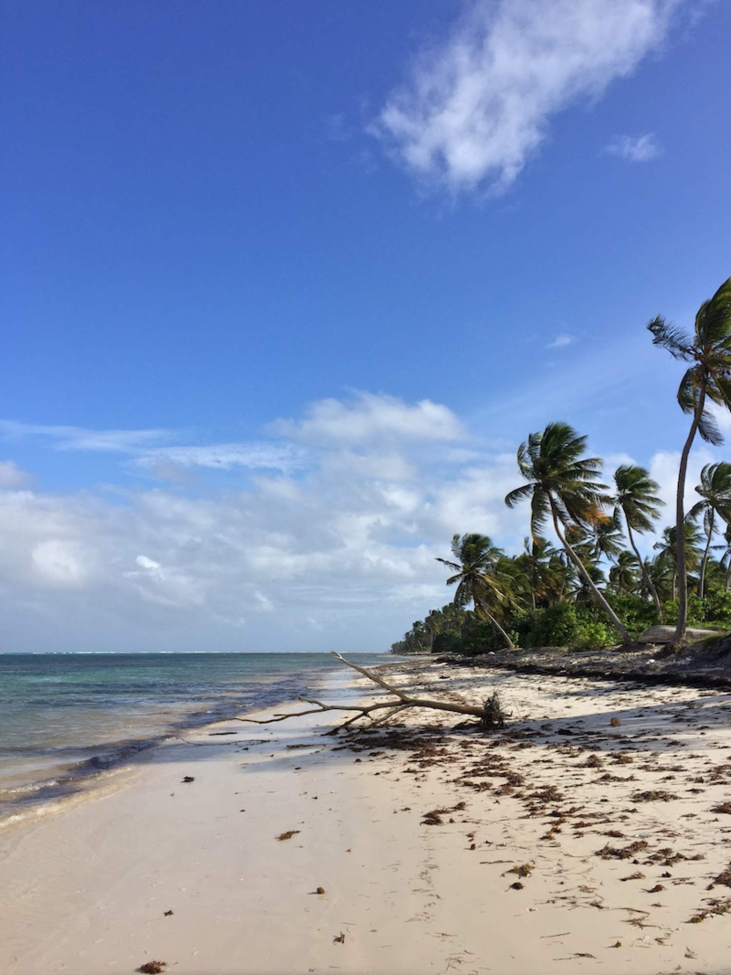 Plage à Punta Cana, République Dominicaine