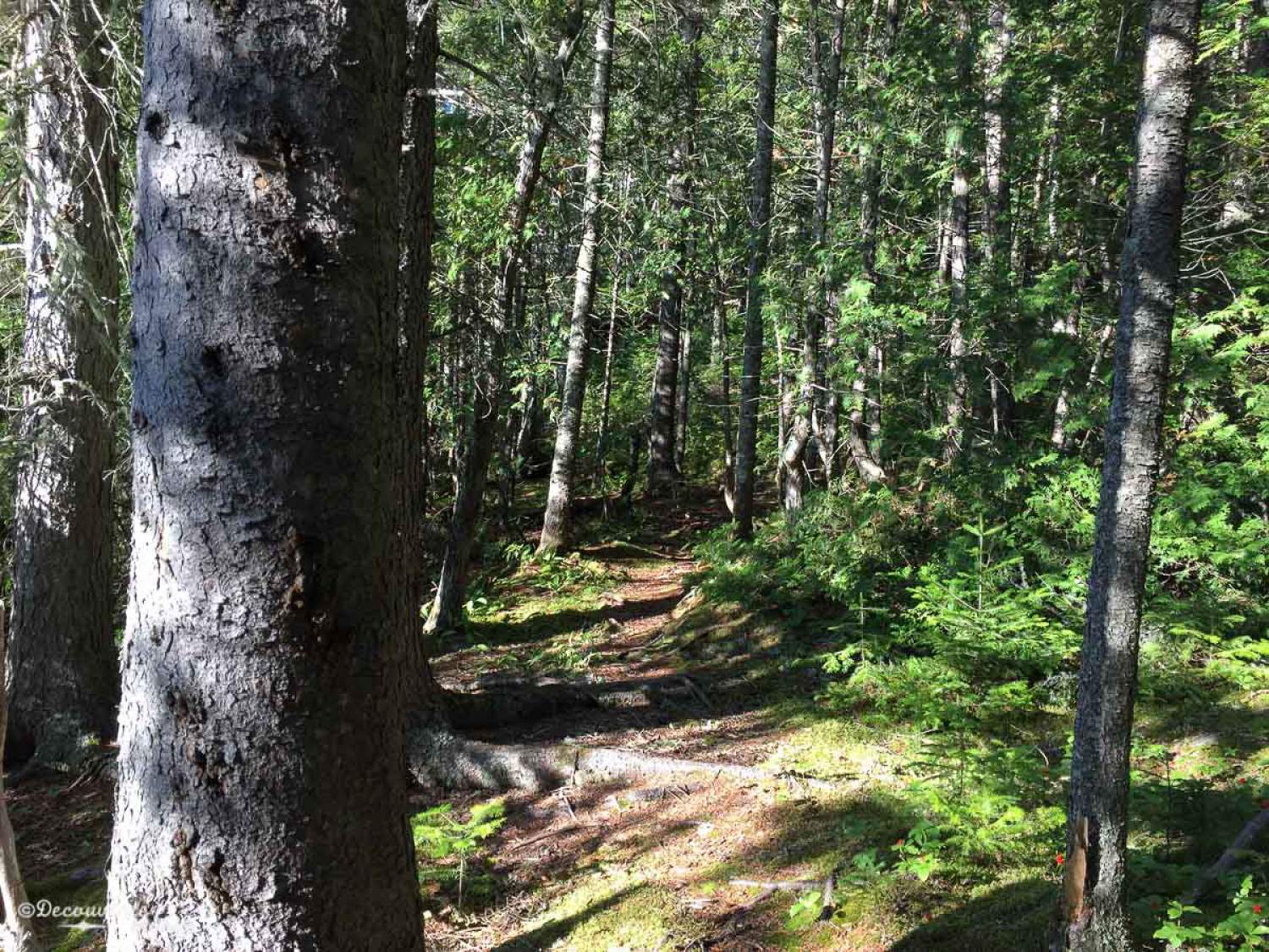 Faire de la randonnée au Parc du Mont-Tremblant