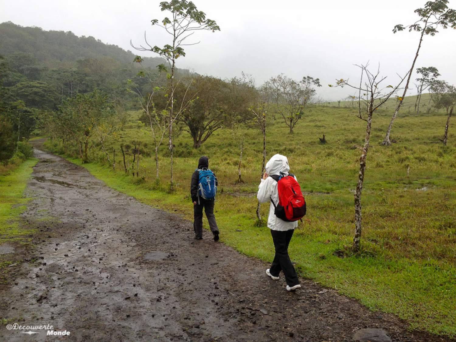 Randonnée près du volcan Arenal au Costa-Rica