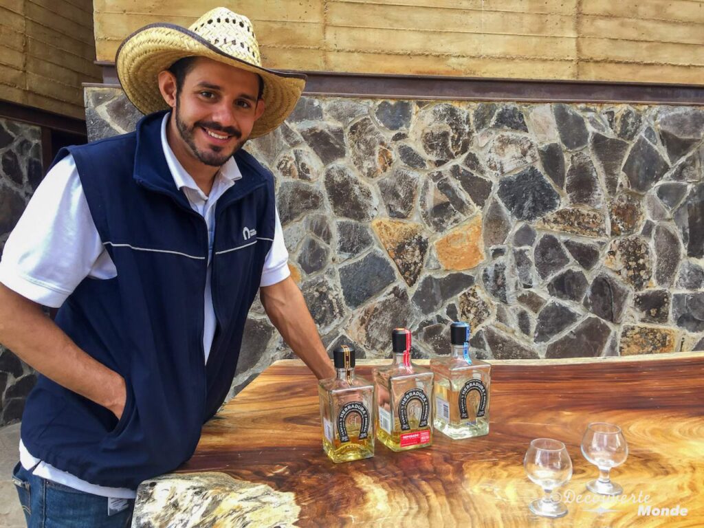 Dégustation à l'hacienda Herradura au Mexique