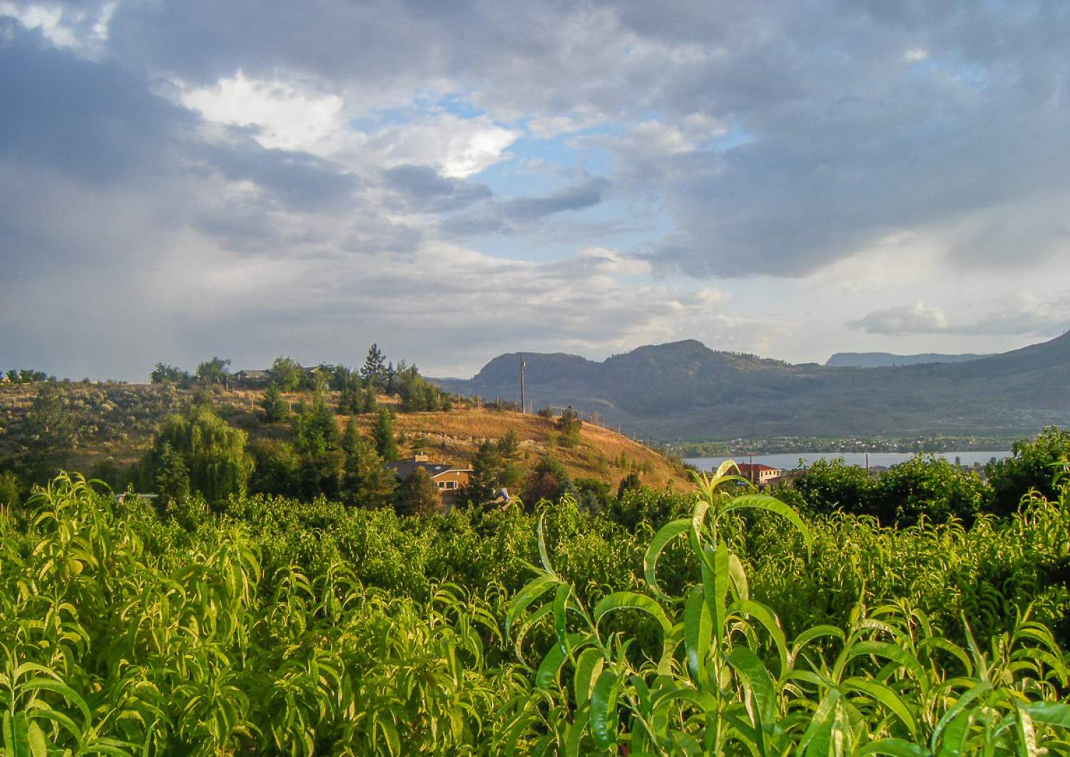 Vallée d'Okanagan