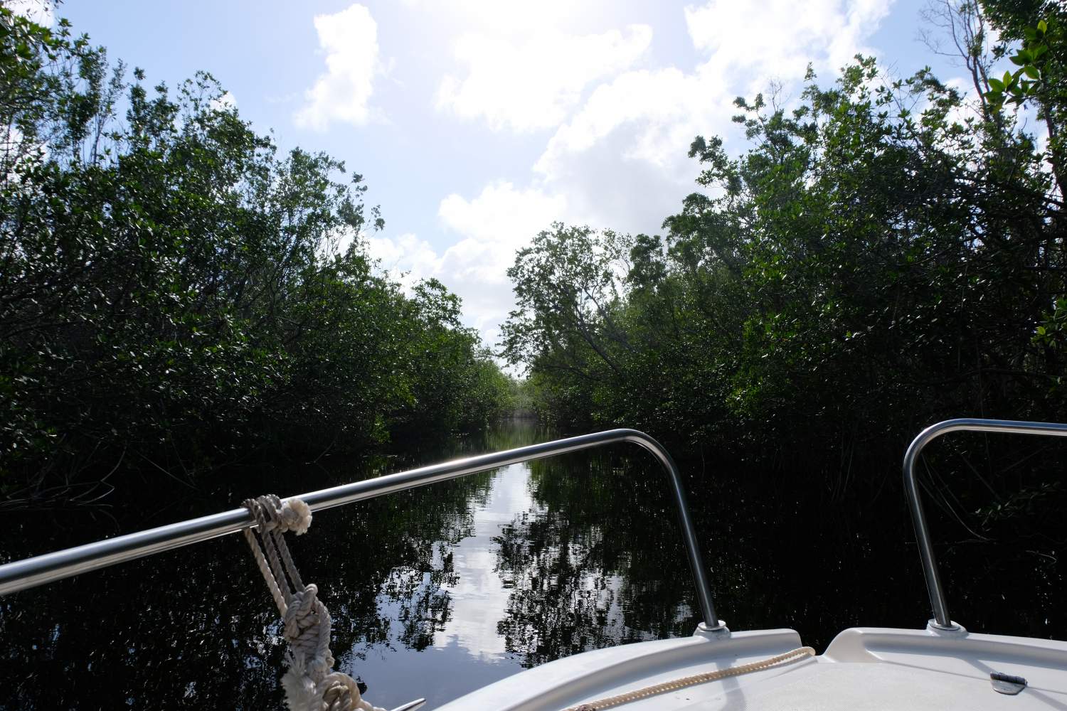 Tour de mangrove au canal Laguna la Redonda, Cuba