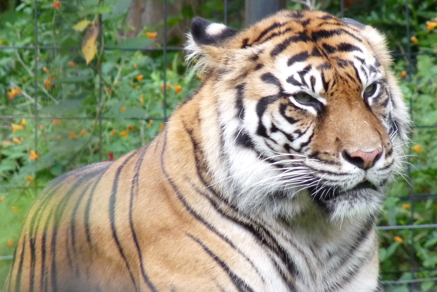 voyage en famille zoo de Toronto