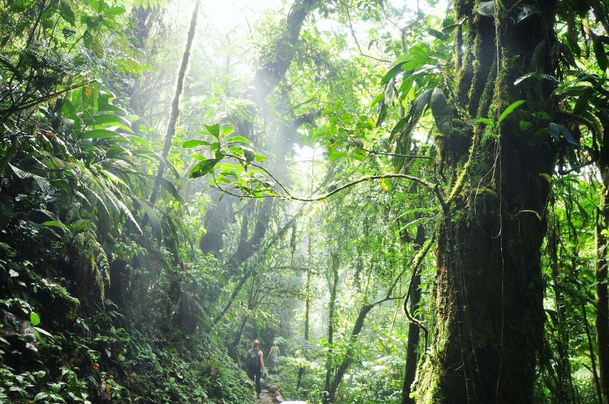 Forêt Rio Celeste voyage éco-responsable au Costa Rica