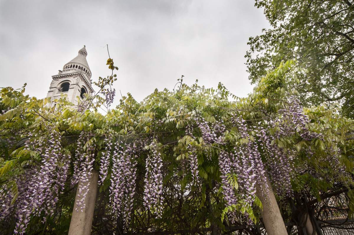 Parc de la Turlure à Montmartre, France