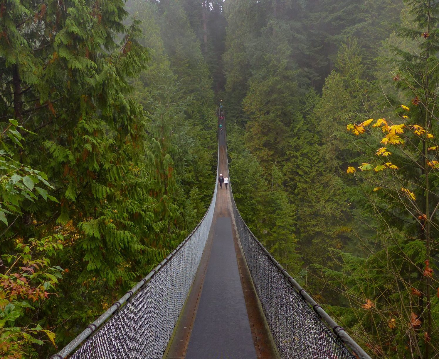 Capilano Suspension Bridge - Vancouver un autumn