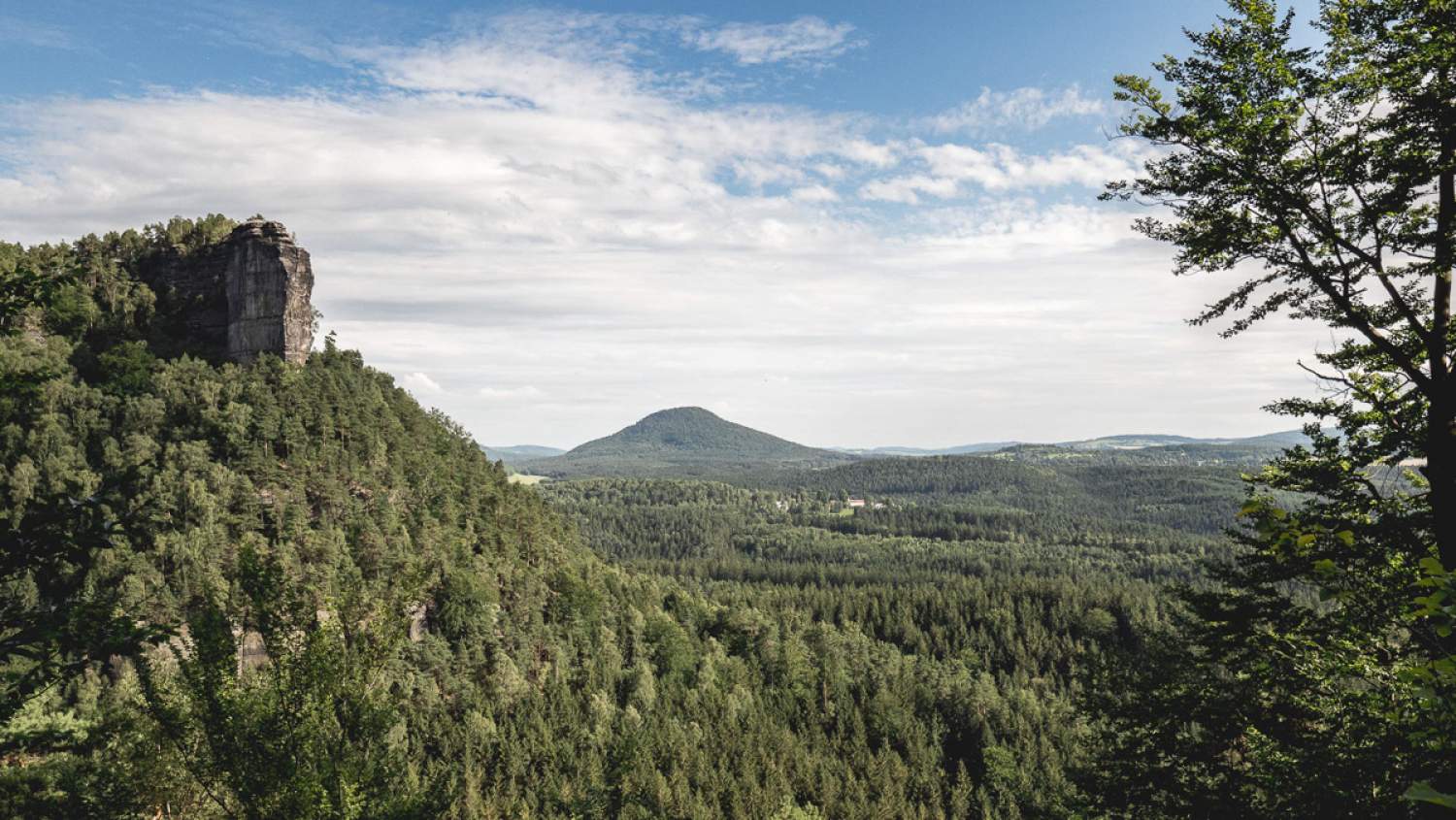 Vue sur une forêt : Tournage de Narnia en République Tchèque