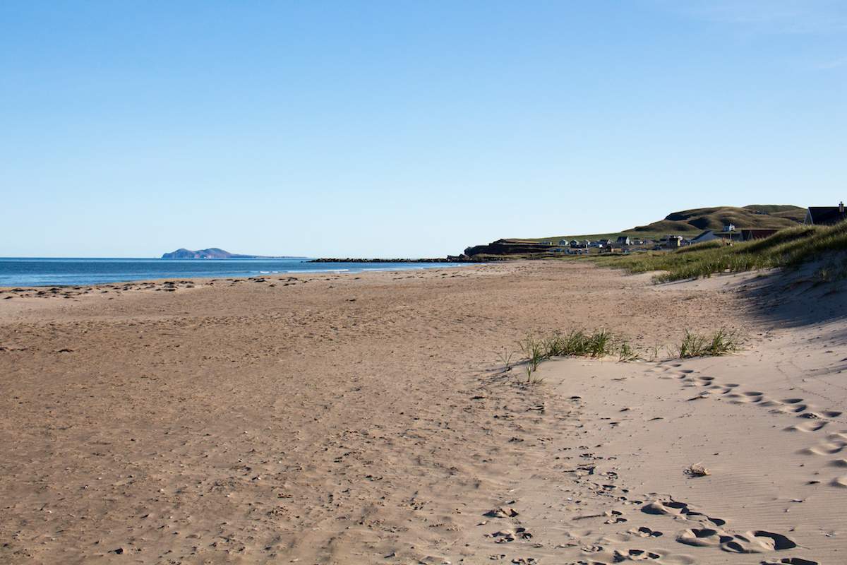 Dune sur la plage au Camping Les Sillons