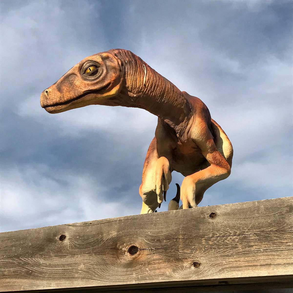 Dinosaur Provincial Park, Alberta