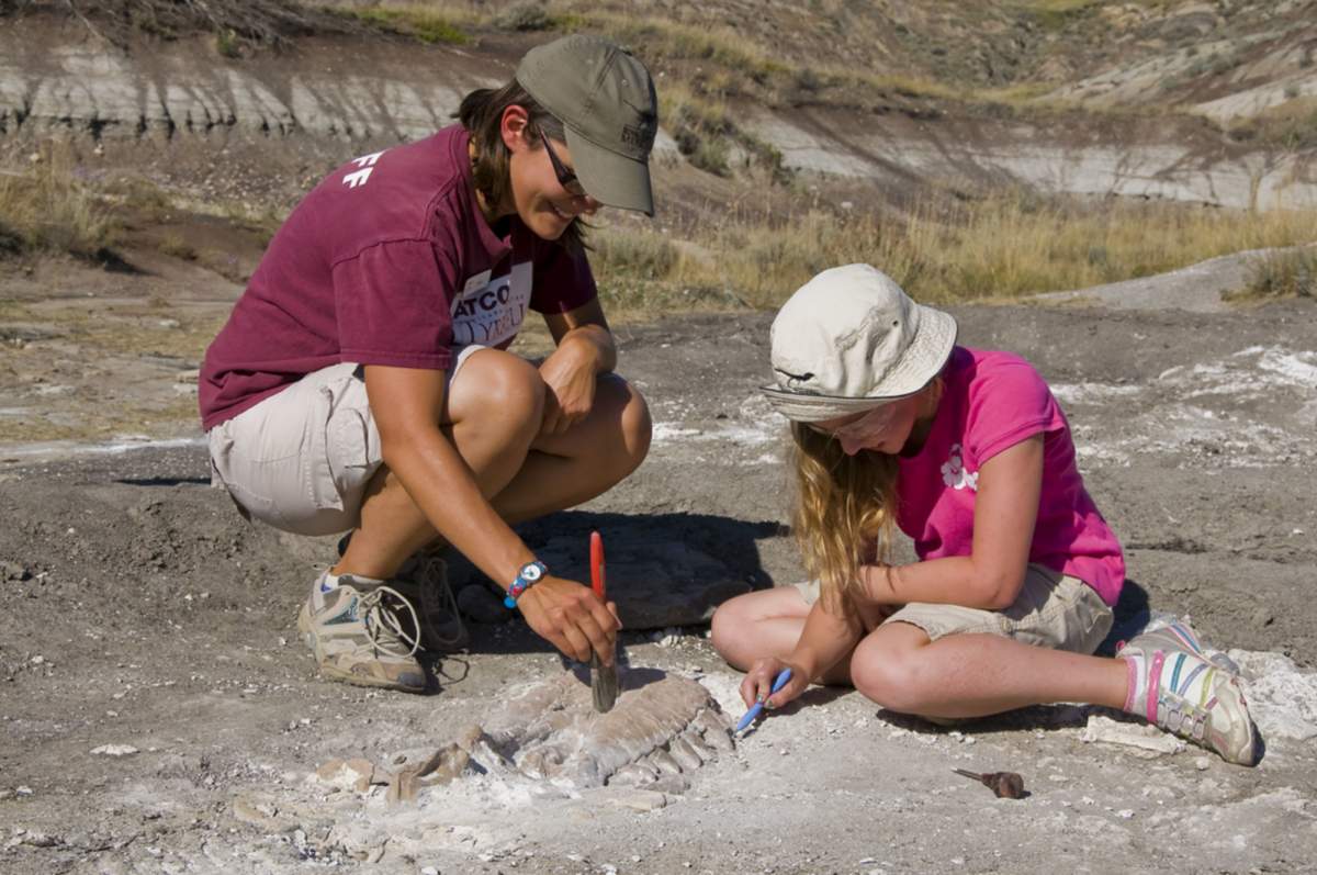 Dig at the Royal Tyrell Museum