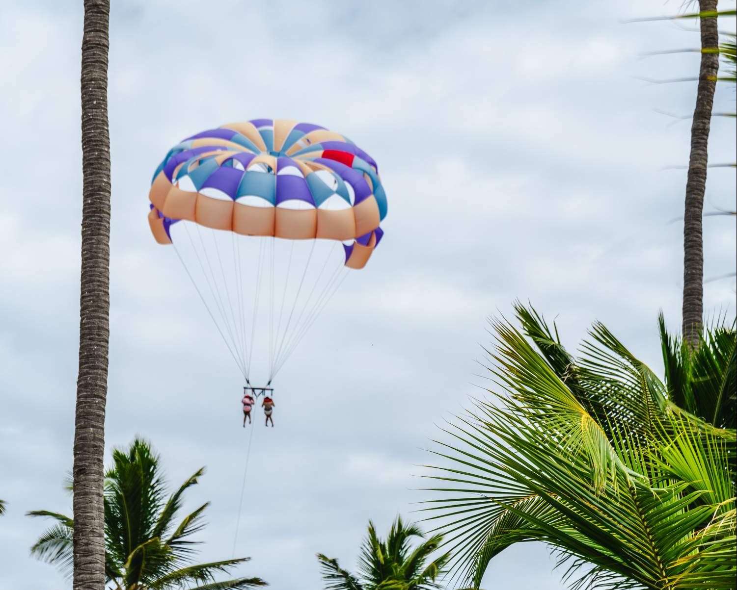 Activities in Dominican Republic