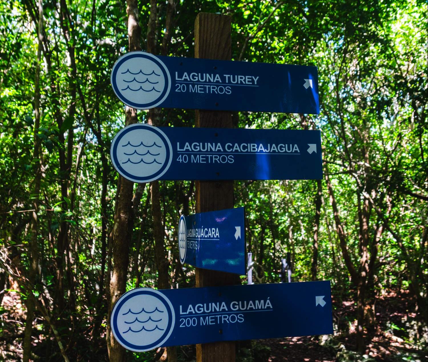 Directions to lagunas at the Indigenous Eyes Ecological Park and Reserve in Dominican Republic