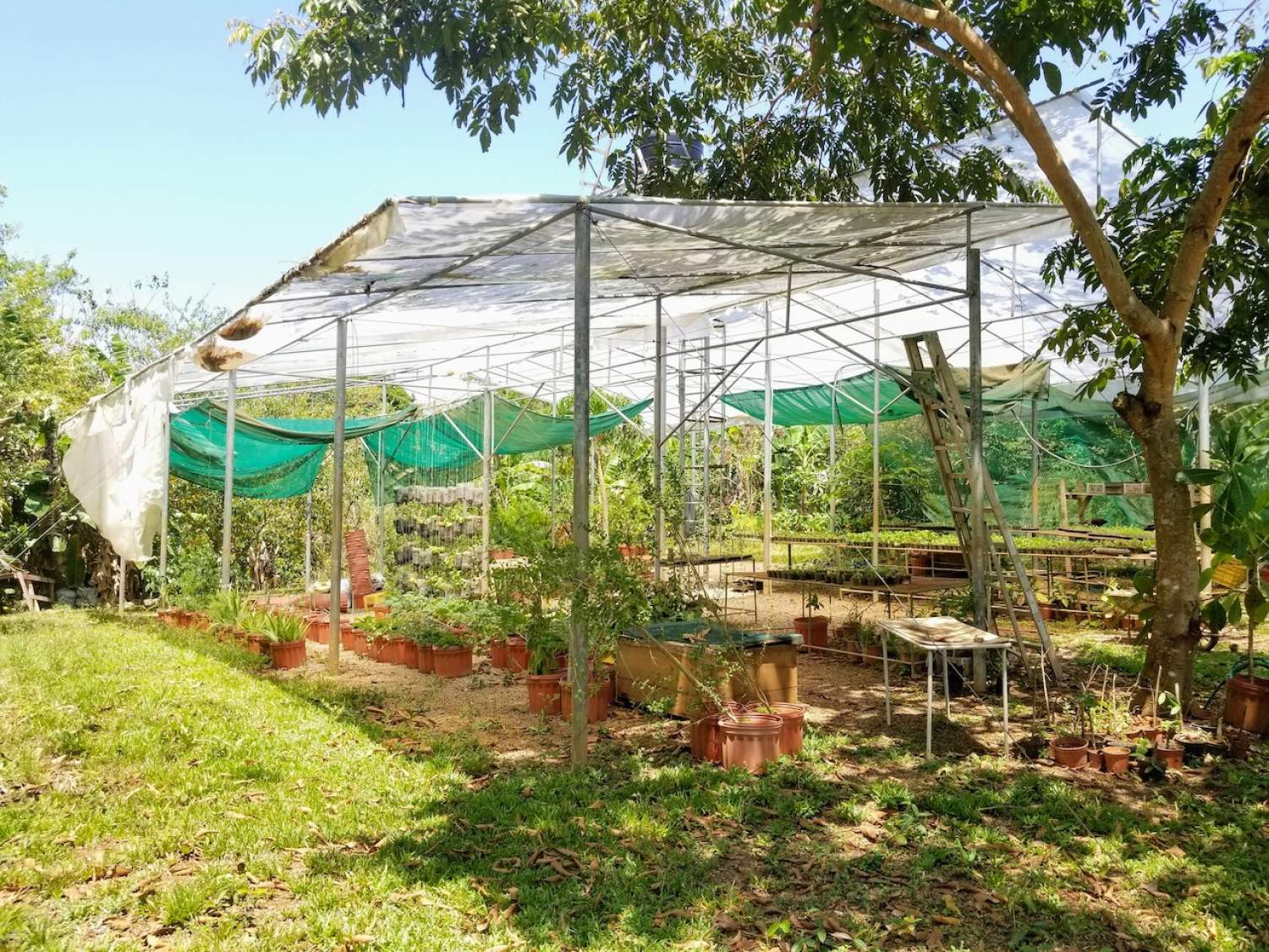 Jardin du Rancho Delicioso