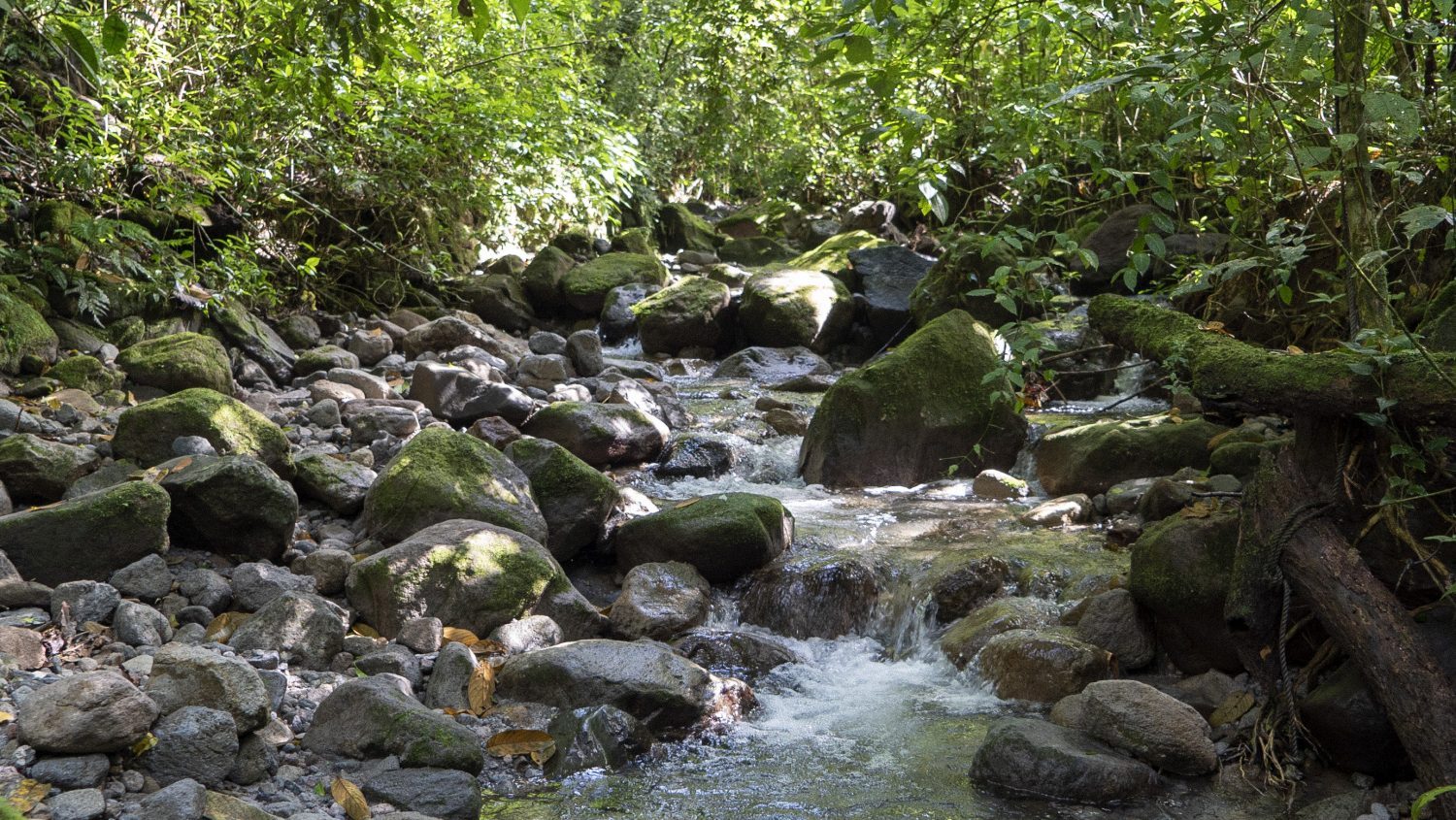 vallee-anton-panama
