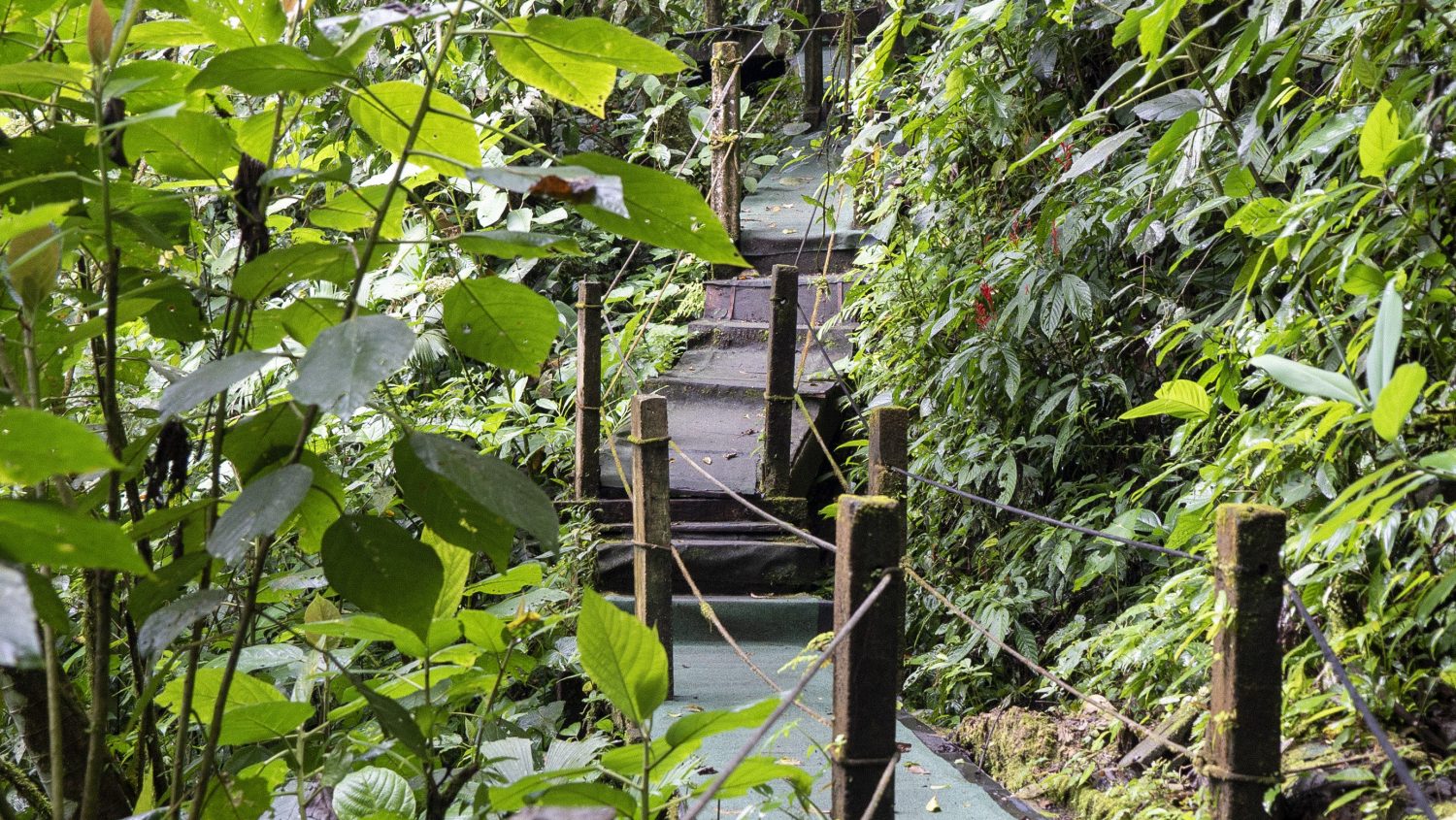 vallee-anton-panama