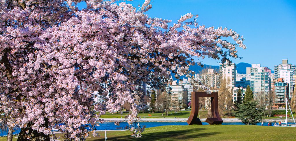 printemps à vancouver spring in vancouver Photo credit Destination VancouverVision Event Photography Inc.