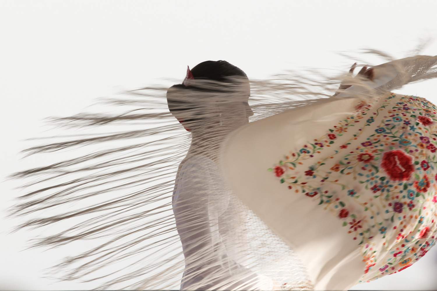 Danseuse de Bolero