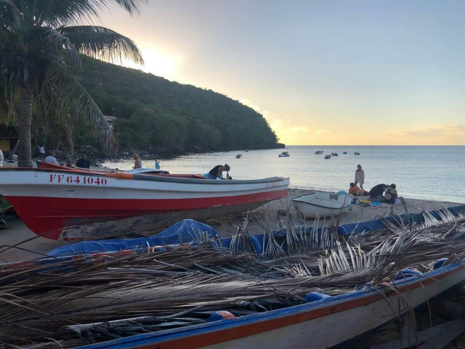 Anse Darlet, Martinique