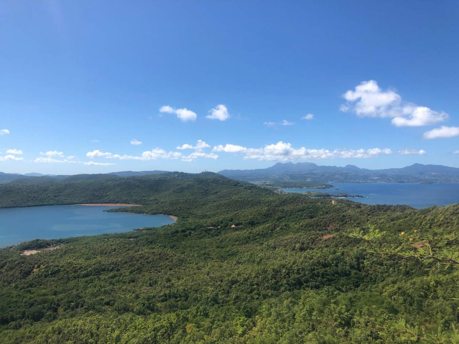 Caravelle peninsula, Martinique