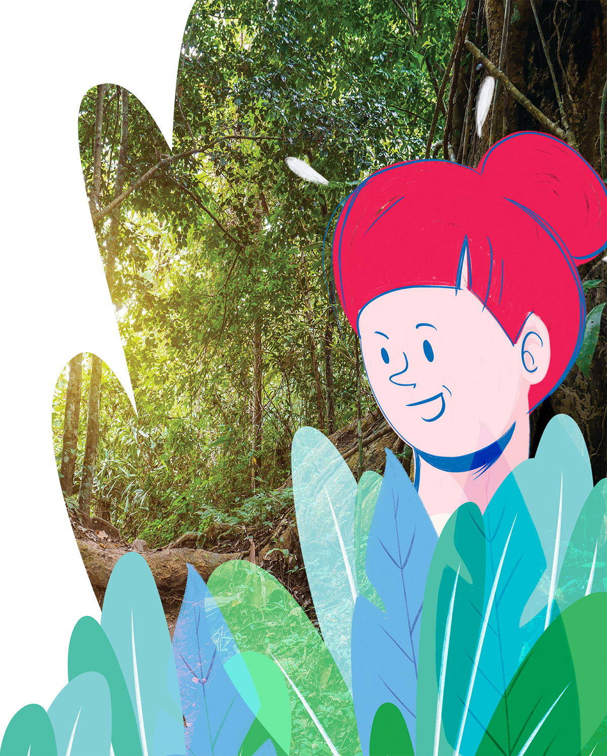 illustration, guadeloupe