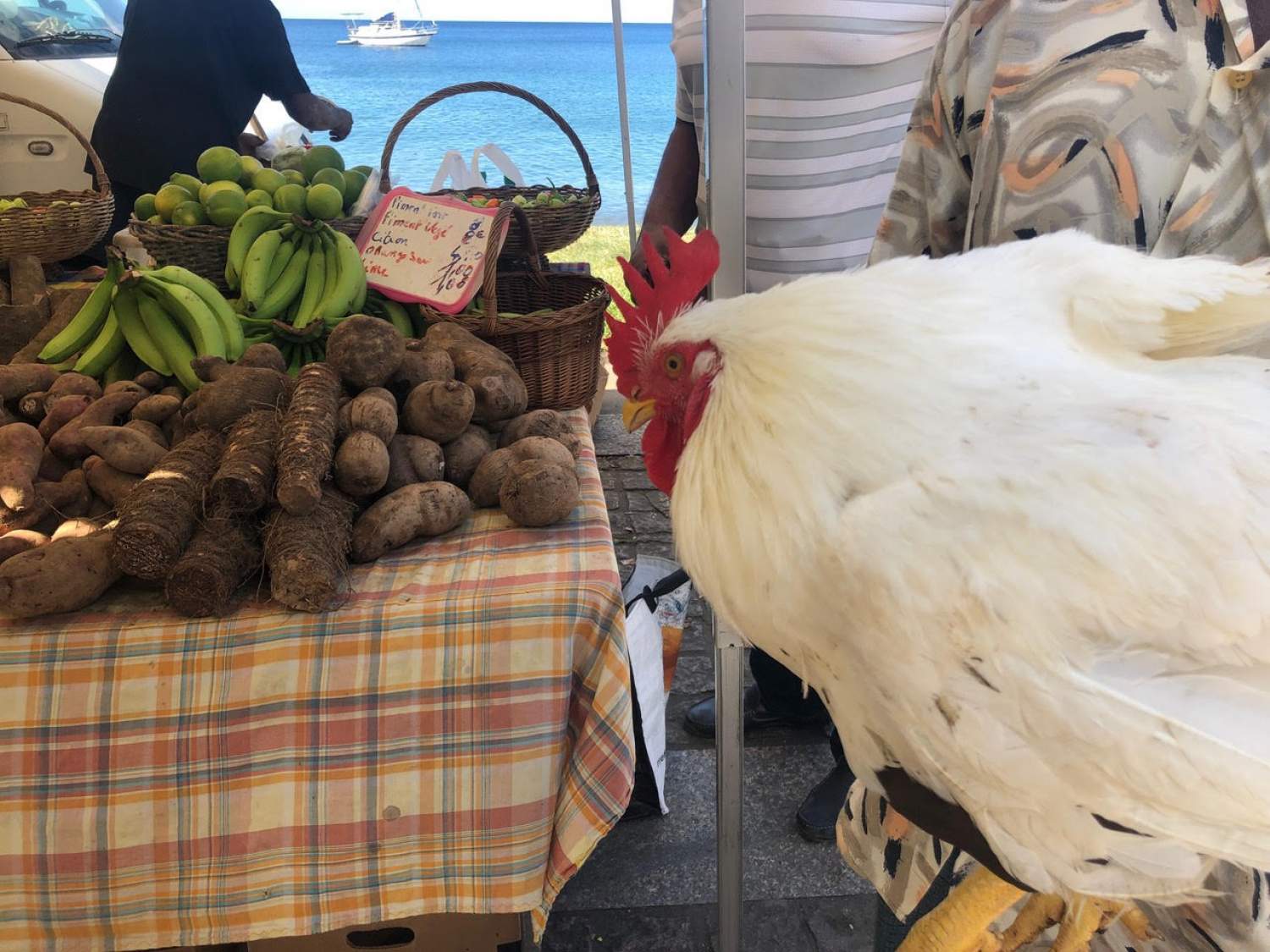 St-Pierre market, Martinique