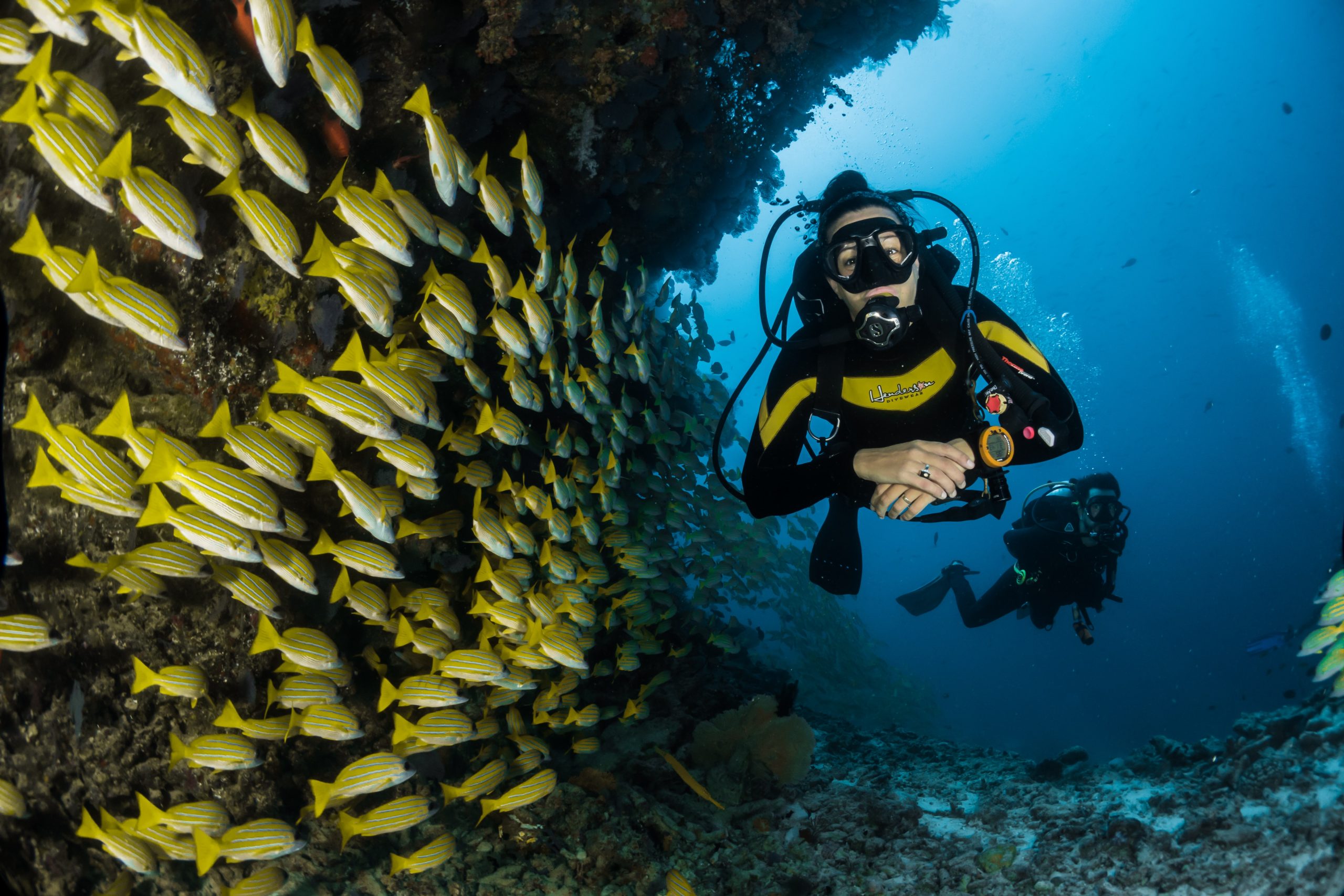 The Best Dive Spots in Cozumel | Experience Transat