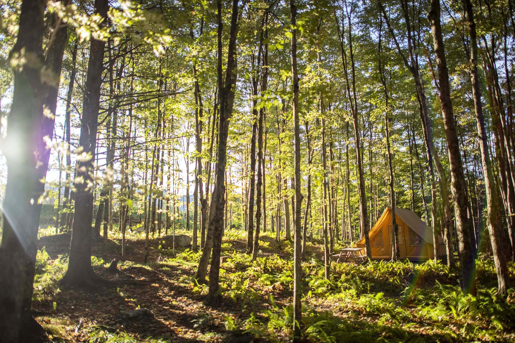 Huttopia Sutton © TQ/Gaëlle Leroyer - Camping au Québec avec la SÉPAQ - excursion de Montréal