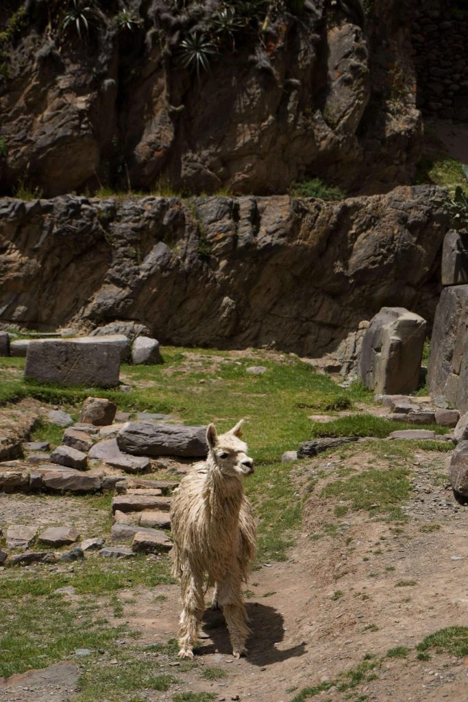 Vallée-Sacrée-Sacred-Valley-Pérou-Peru-Ollantaytambo