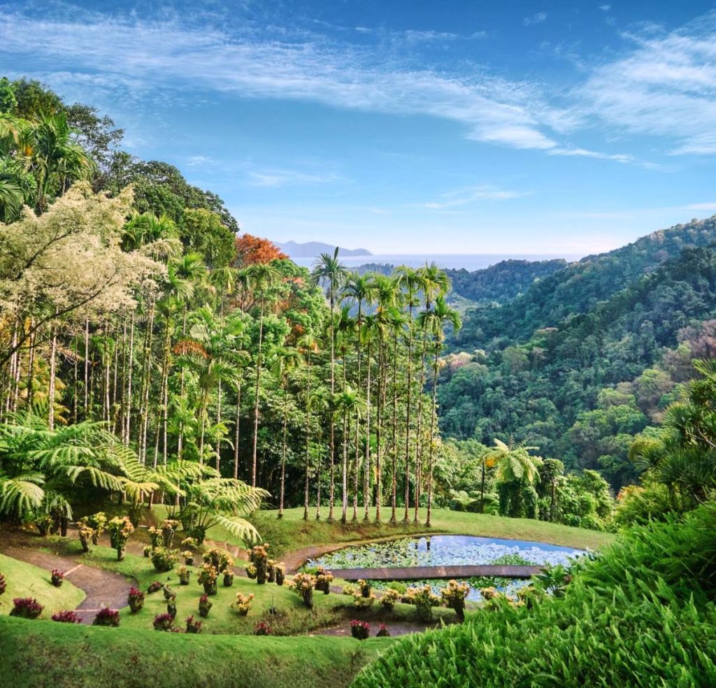 Jardin Balata Garden_Martinique_Credit CMT-2