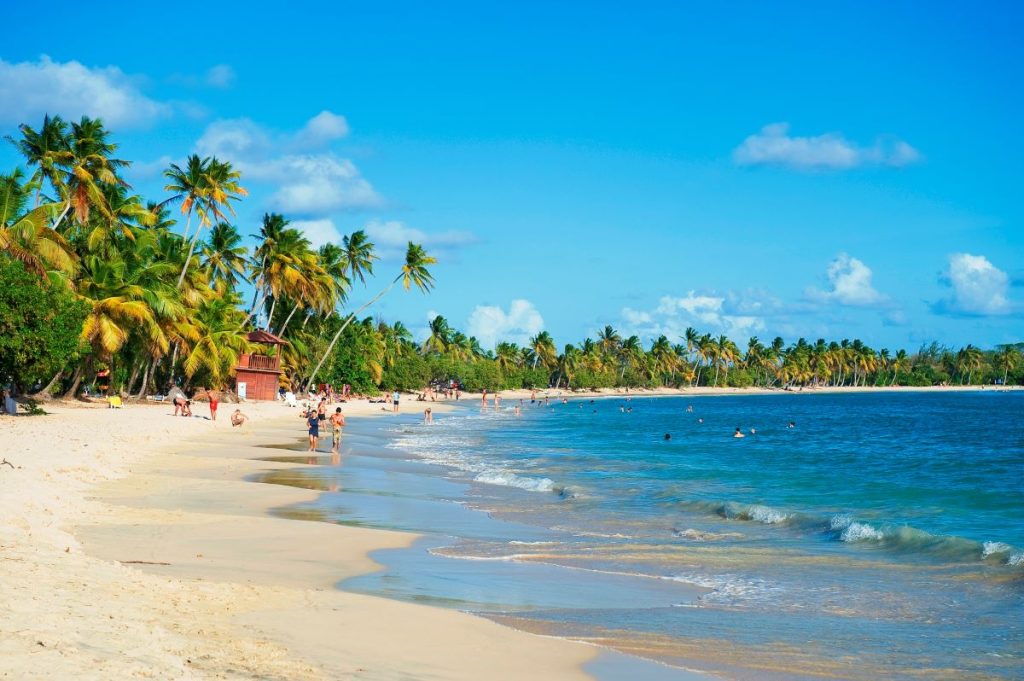 plages martinique beaches - Grande-Anse-des-Salines_Credit-L.Olivier